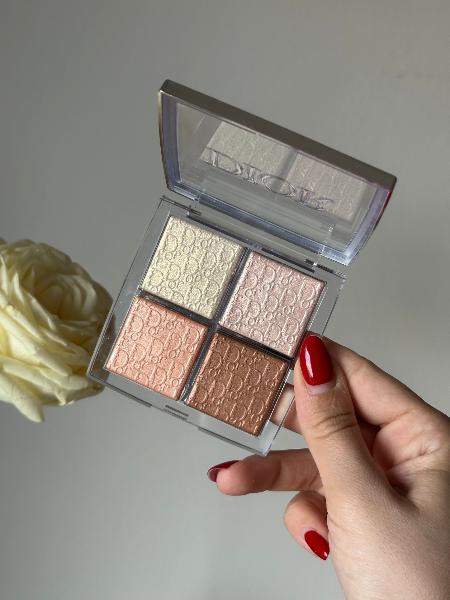 Dior - Backstage Face Palette