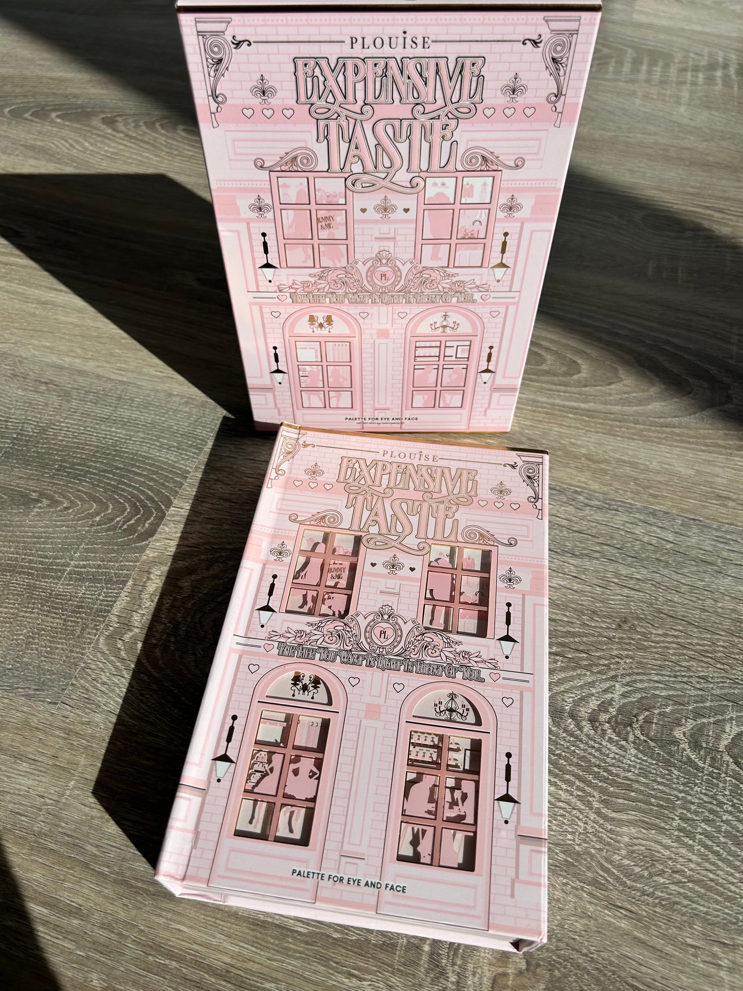 Plouise Expensive Taste Makeup Palette