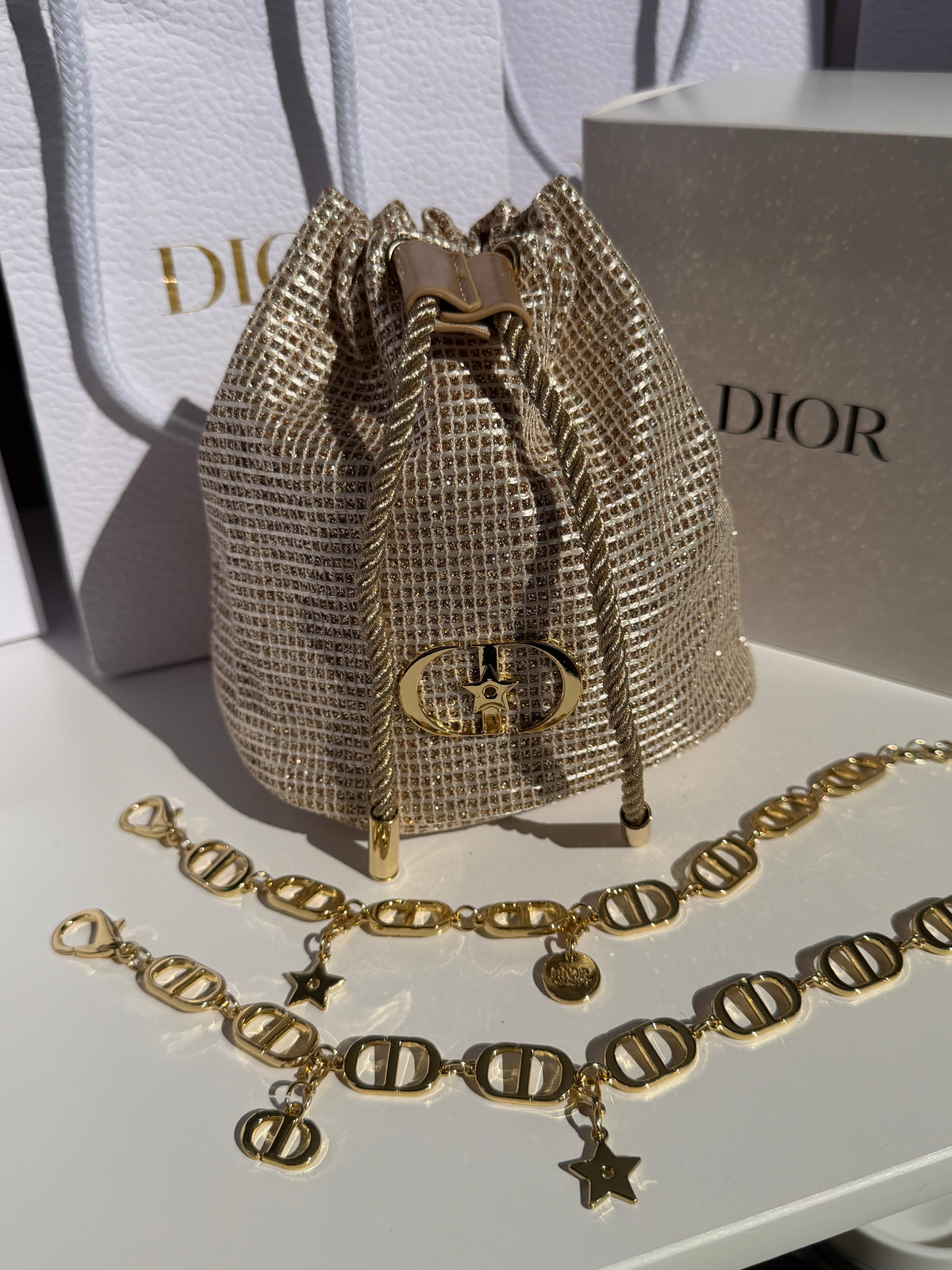 Christian Dior Gold Bag