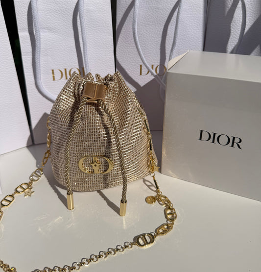 Christian Dior Gold Bag
