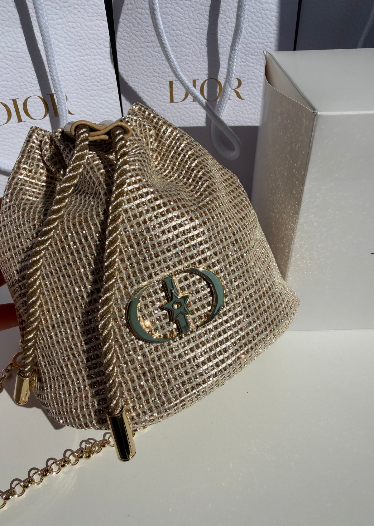 Christian Dior Gold Bag