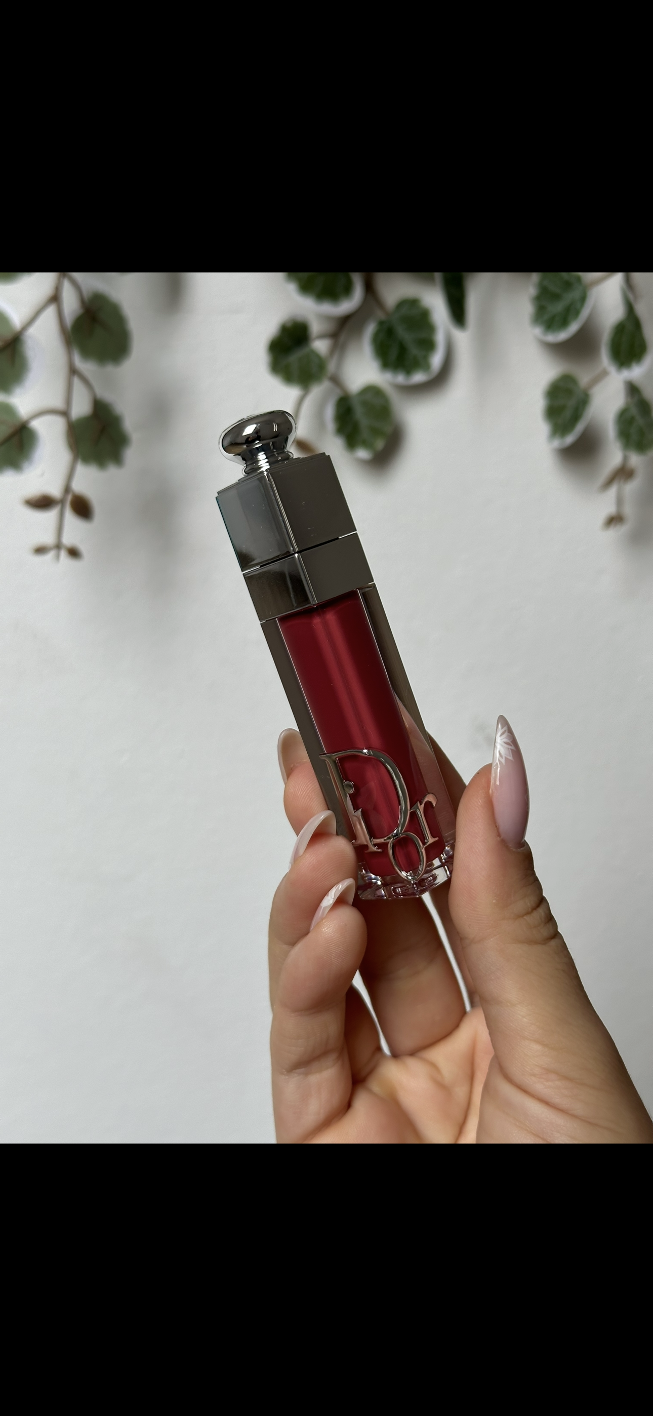 Dior Addict Lip Maximizer